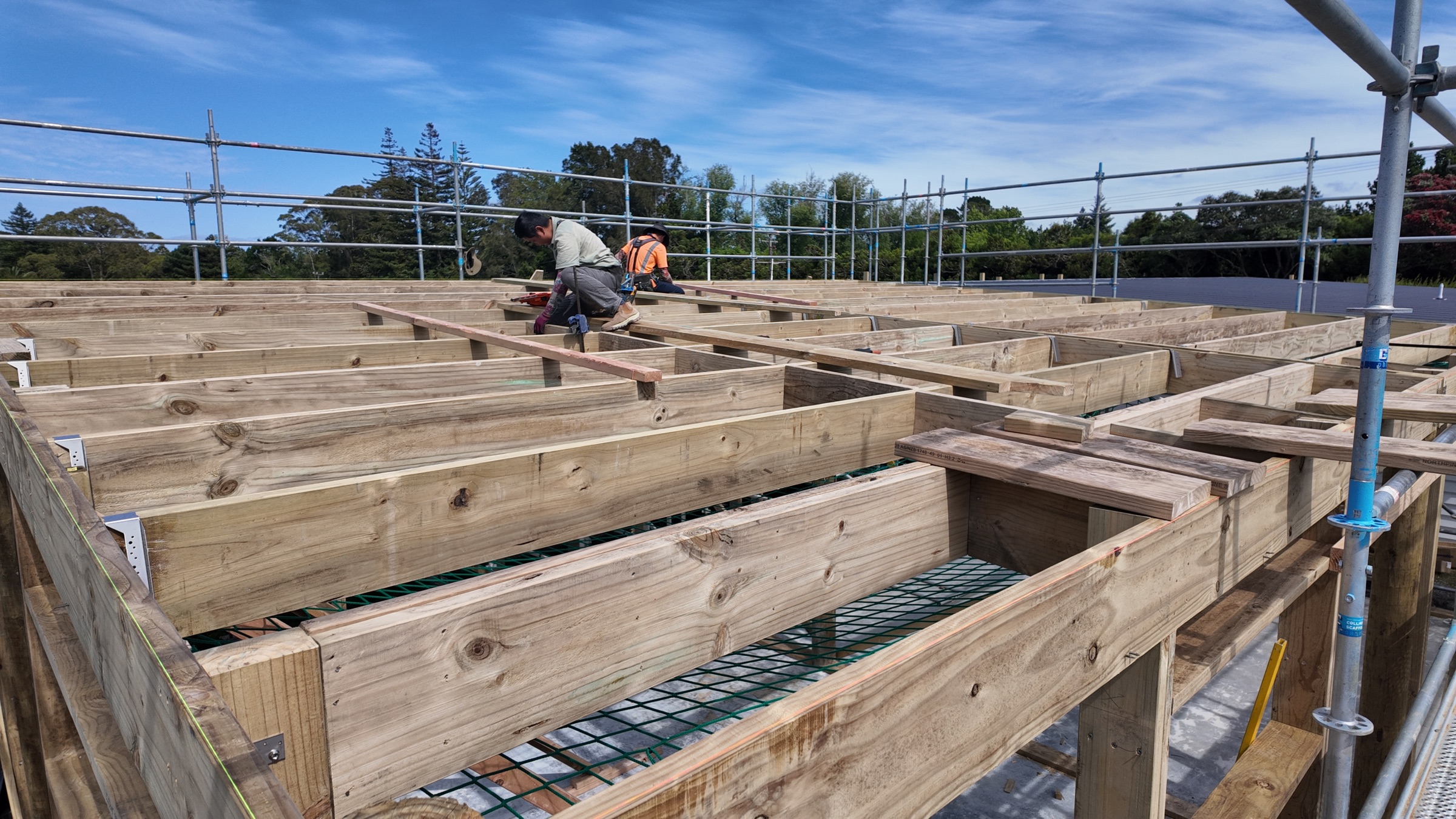 Completed timber roof framing viewed from above